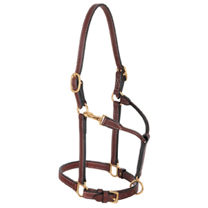 Weaver Leather Double Buckle Leather Halter in Cob Size
